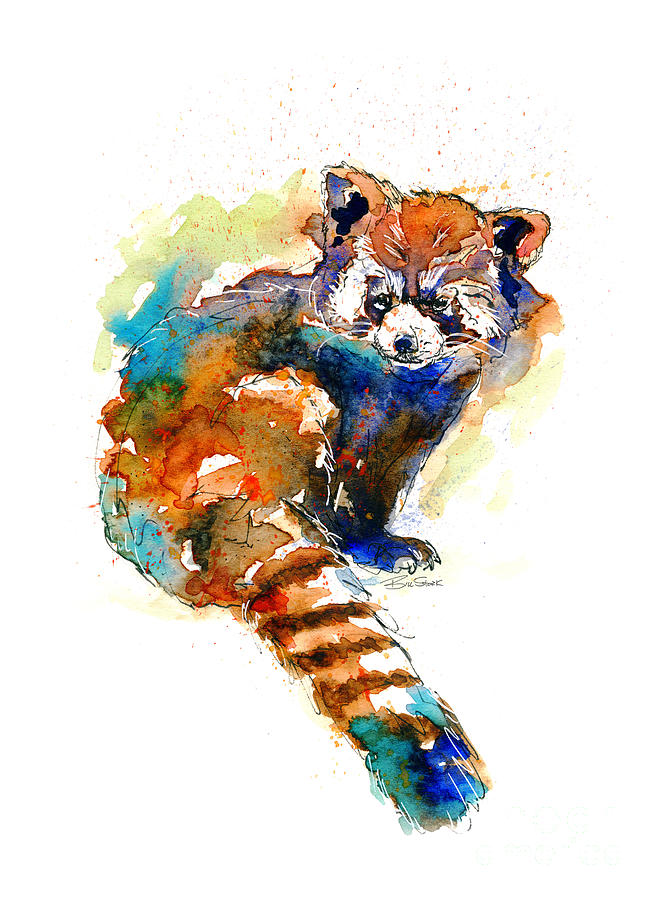 Animal Painting - Splashy Red Panda by Bill Stork