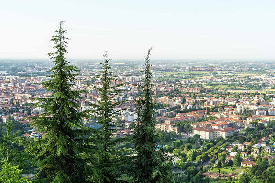 Splendid Bergamo Vista - Lower City Citta Bassa and Po River Plain from Above the Treetops Photograph by Georgia Mizuleva
