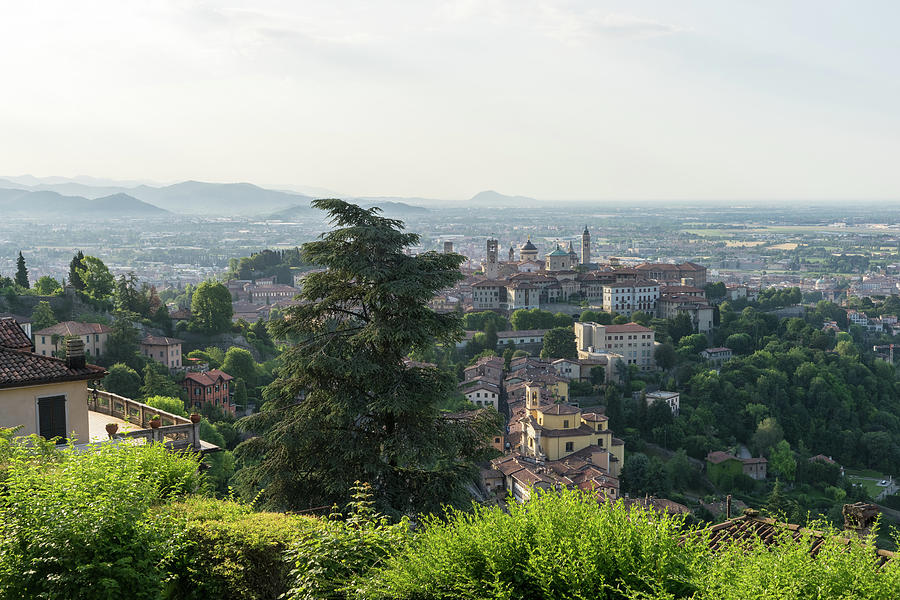 Splendid Bergamo Vista - Upper City Lower City and River Po Plain from Above the Treetops Photograph by Georgia Mizuleva