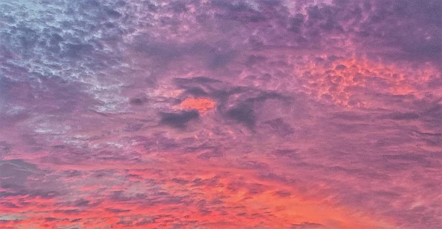 Splendid Summer Sunset Photograph by Ally White