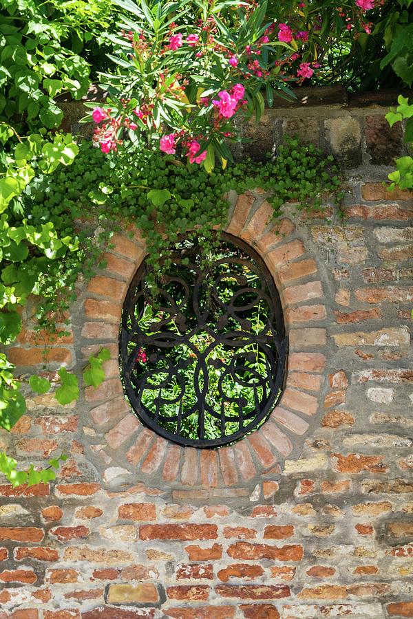 Splendid Venetian - Ubercharming Garden Window With Plants Photograph