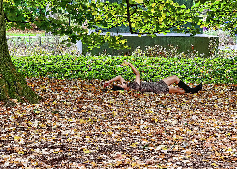 Splendor in the Leaves - Central Park Photograph by Allen Beatty - Fine ...