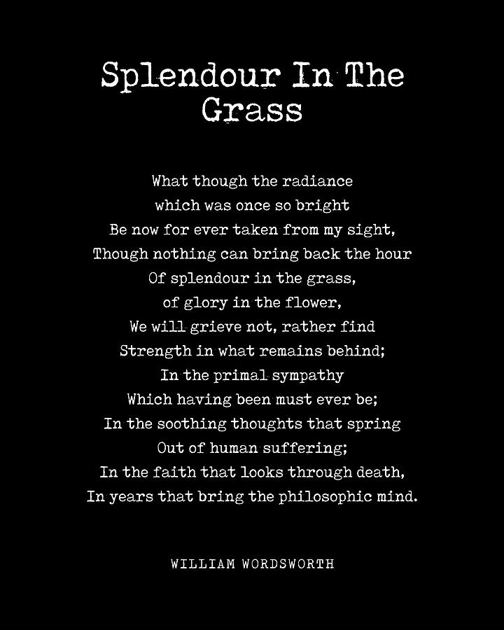 Splendour In The Grass - William Wordsworth Poem - Literature - Typewriter Print 1 - Black Digital Art