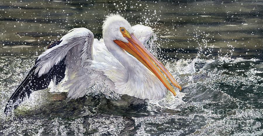 Pelican Painting - Splish Splash by Lorraine Watry