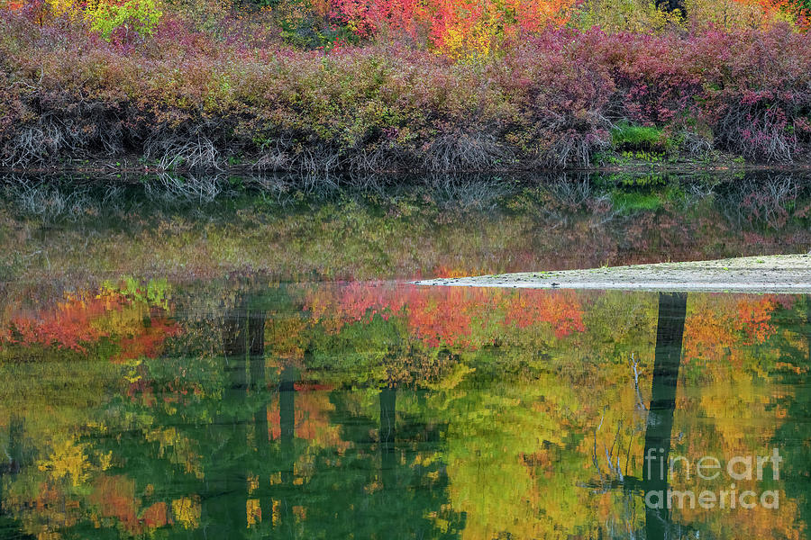 Split Autumn Illusion Photograph
