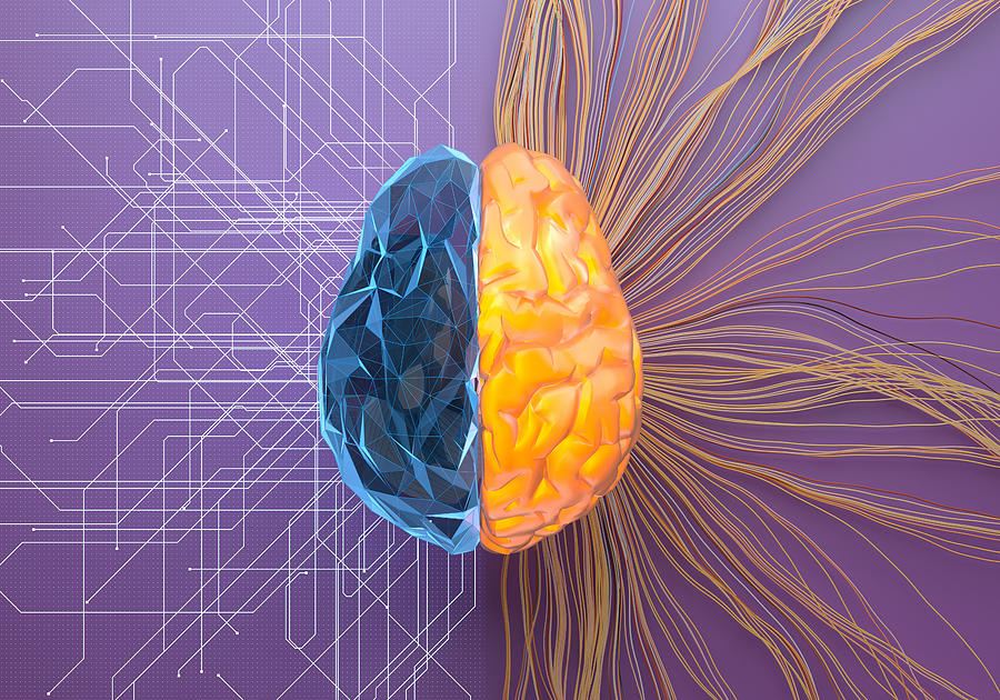 Split net/turbulence artificial brain Photograph by Andriy Onufriyenko