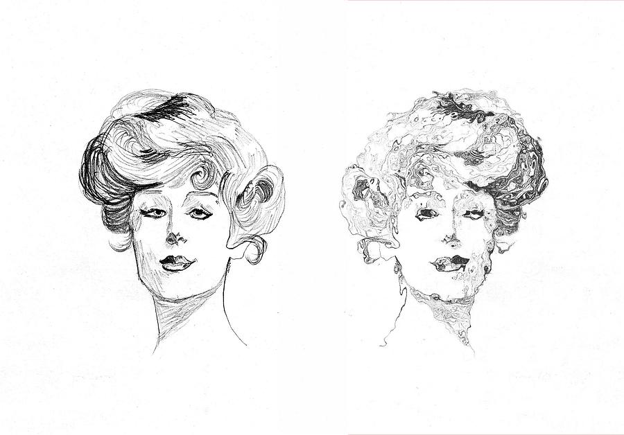 Split Personality Drawing by Ann Warrenton Pixels