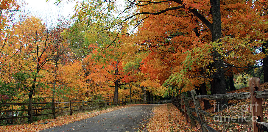 Split Rail Fence and Fall Color 6971 Photograph by Jack Schultz