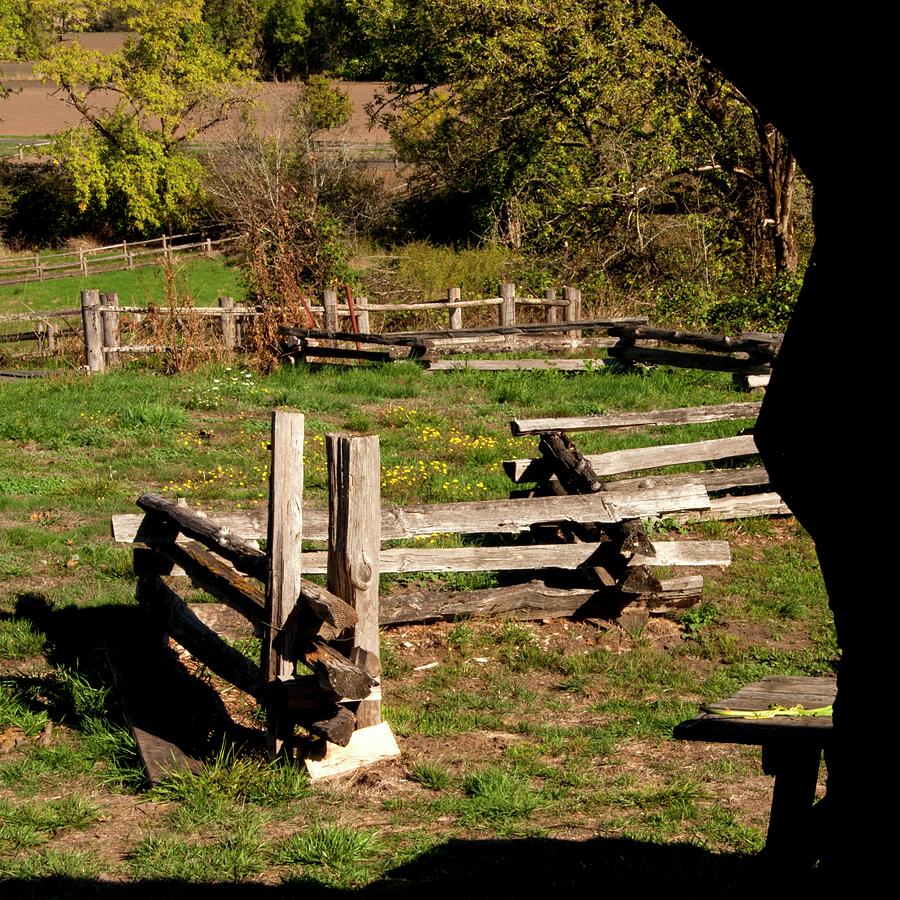 Split Rail Fence and Pasture Photograph by Jerry Sodorff