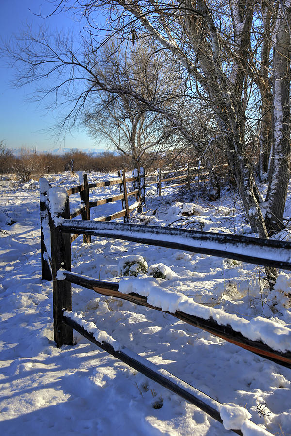 Split Rail Fence Photograph by Robert Harris