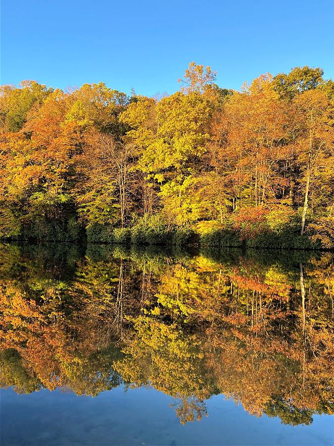 Split Screen Photograph by LL Murray - Fine Art America