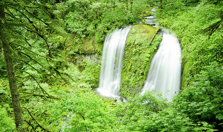 Splitting waterfall Photograph by Long Tran - Fine Art America