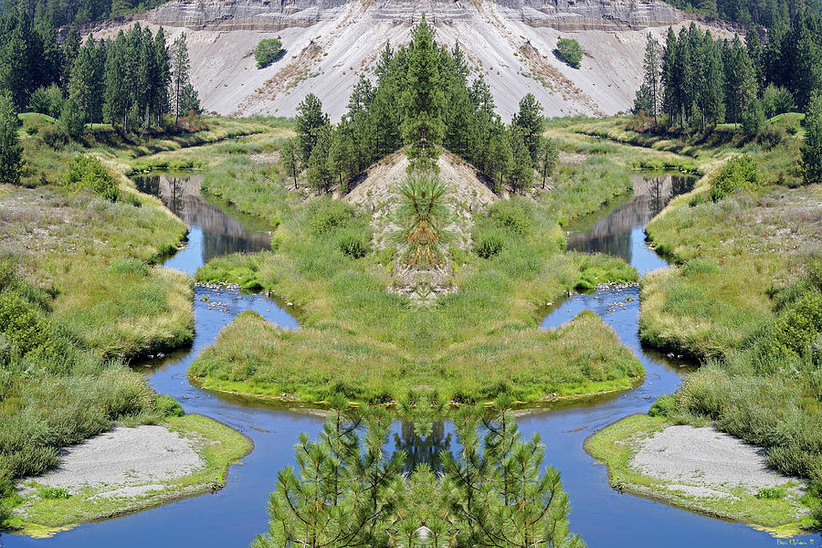 Spokane Nature Mirror #2 Photograph by Ben Upham III