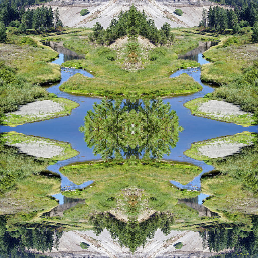 Spokane Nature Mirror #2SQ Photograph by Ben Upham III