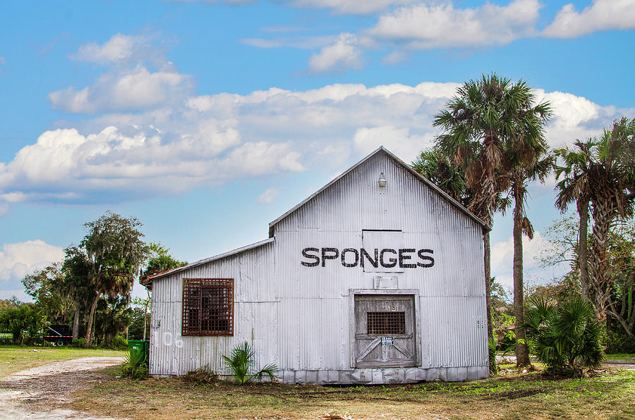 Sponges Warehouse tarpon Springs Florida Photograph by Bill Cannon