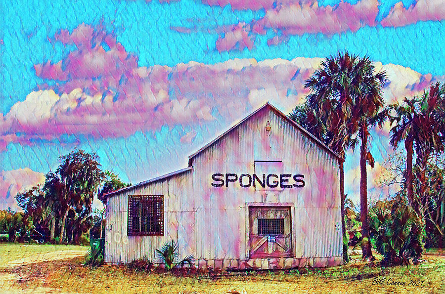 Sponges Warehouse tarpon Springs Florida Water Color Photograph by Bill Cannon