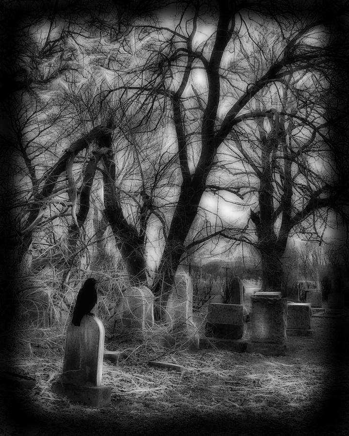 Spooky Graveyard Bird Photograph By Gothicrow Images Fine Art America