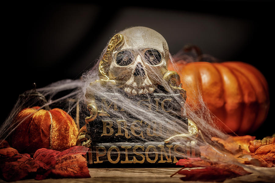 Spooky Halloween Skull and Spell Books Still Life Photograph by Adam Romanowicz