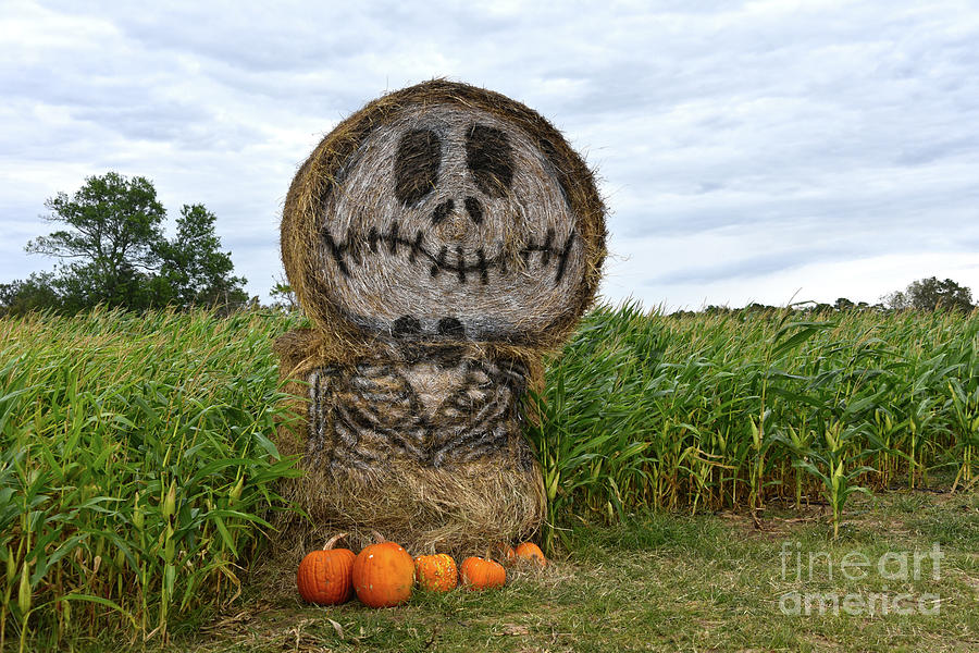 Spooky Hay Bale Photograph by Catherine Sherman