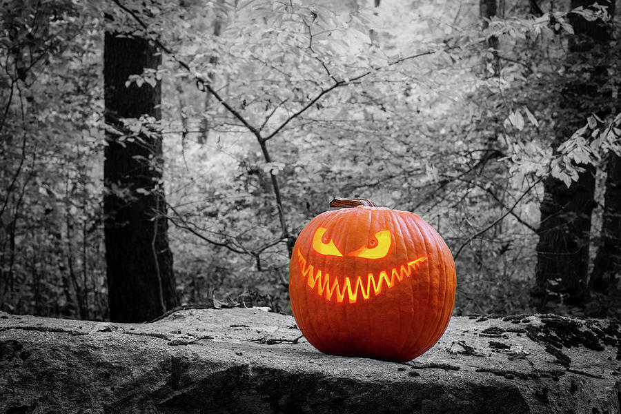 Spooky Jack O Lantern In The Woods Photograph by Andrew Pacheco