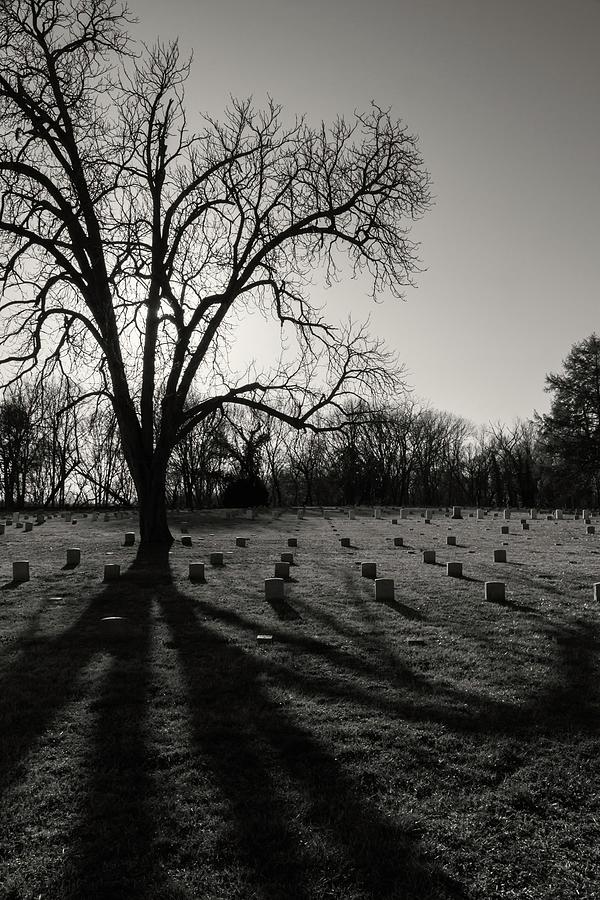 Spooky Military Cemetery Photograph by Liza Eckardt