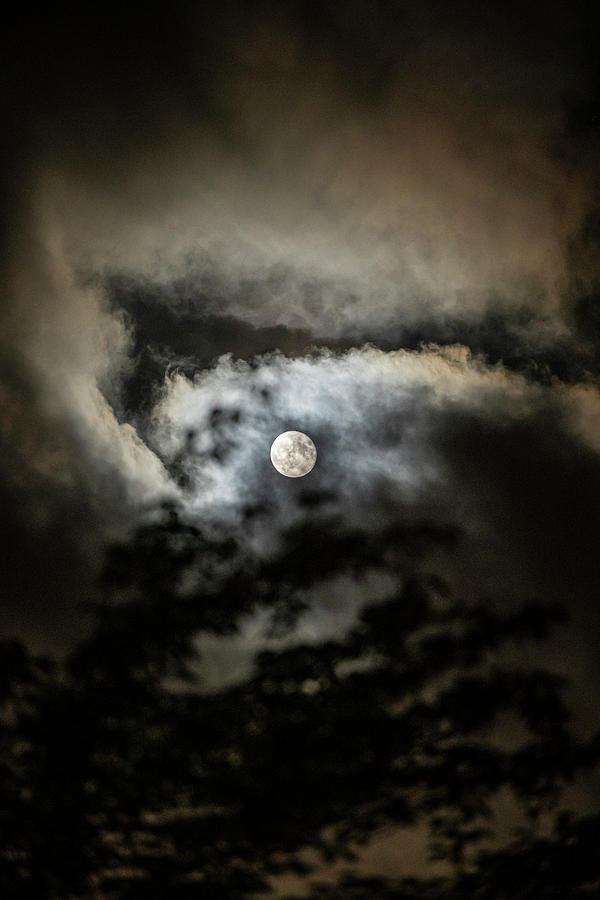 Spooky Moon Photograph by Patrick Lyon - Fine Art America