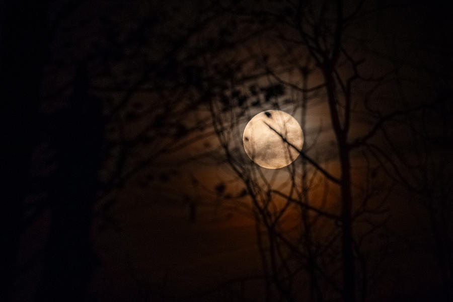 Spooky Moon Photograph by Thousand Word Images by Dustin Abbott