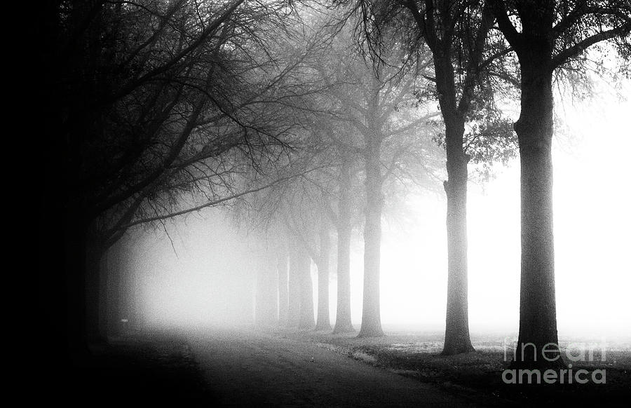 Spooky Path Photograph by Pam Holdsworth