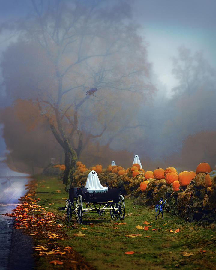 Spooky Road in Rhode Island Digital Art by Cordia Murphy