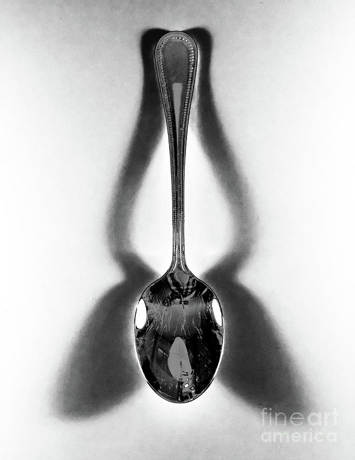 Spoon Art Photograph by Douglas Stucky