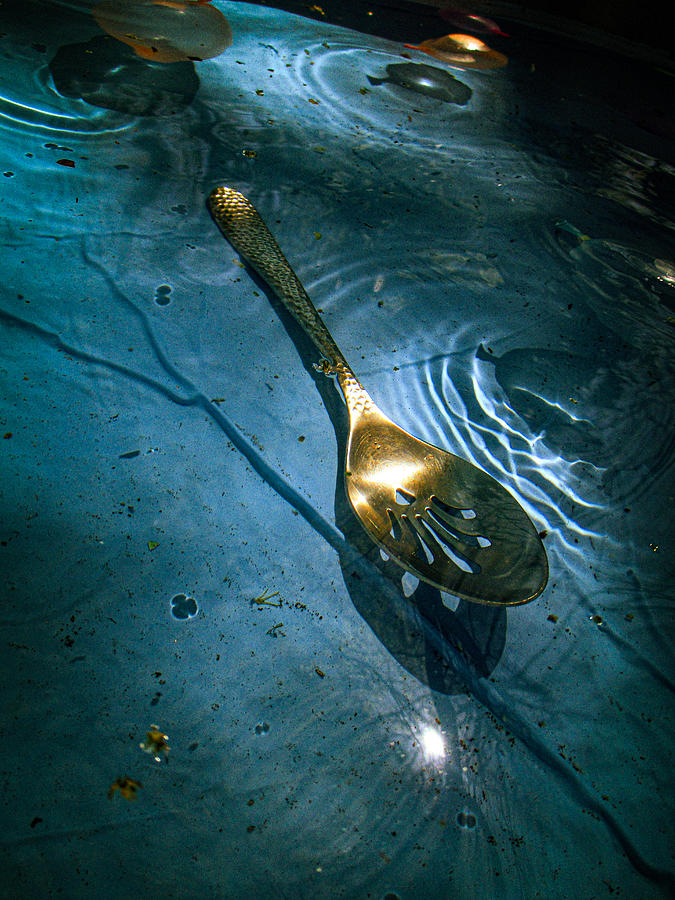 Spoon in Pool Photograph by W Craig Photography