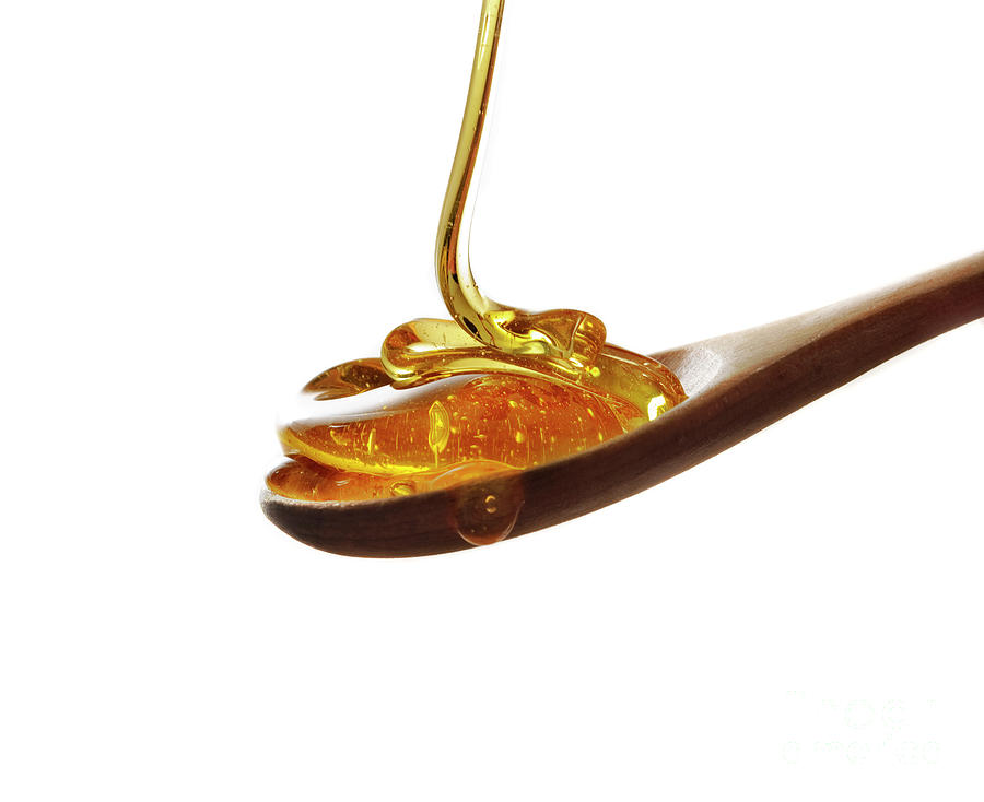 Spoon of honey Photograph by Jelena Jovanovic