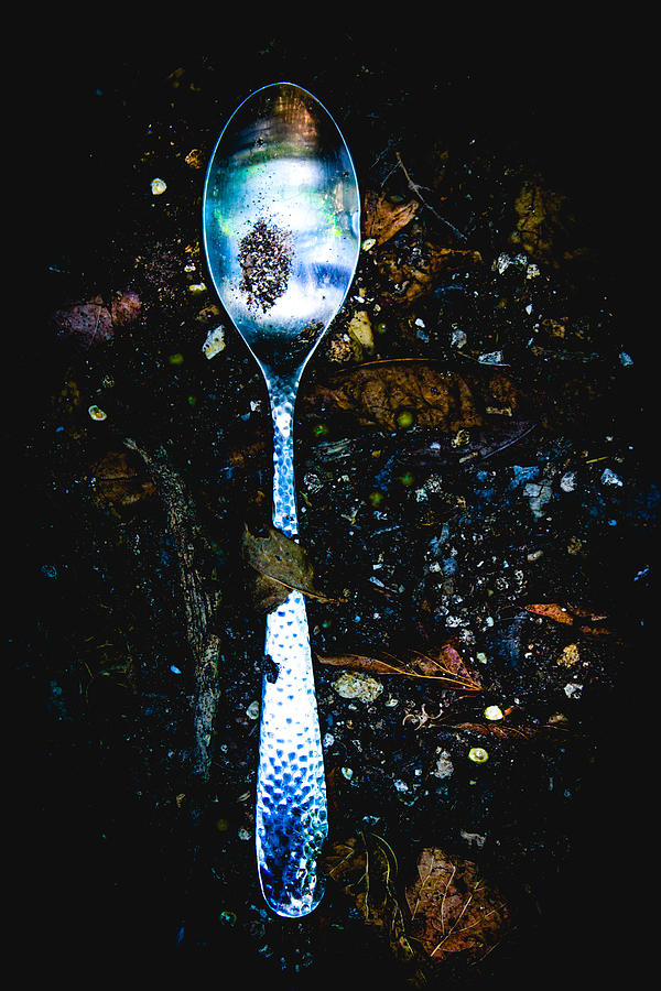 Spoon Photograph by W Craig Photography