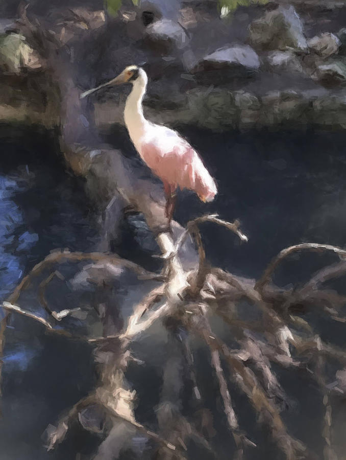Spoonbill on a Branch Painting by Gary Arnold