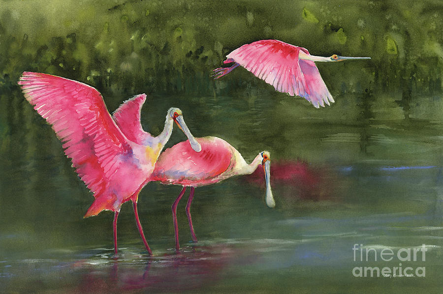 Pink And Green Painting - Spoonbills by Amy Kirkpatrick