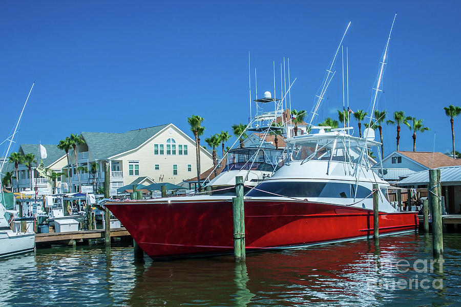 Sport Fishing Yacht by Tony Baca Sport Fishing Yacht by Tony Baca