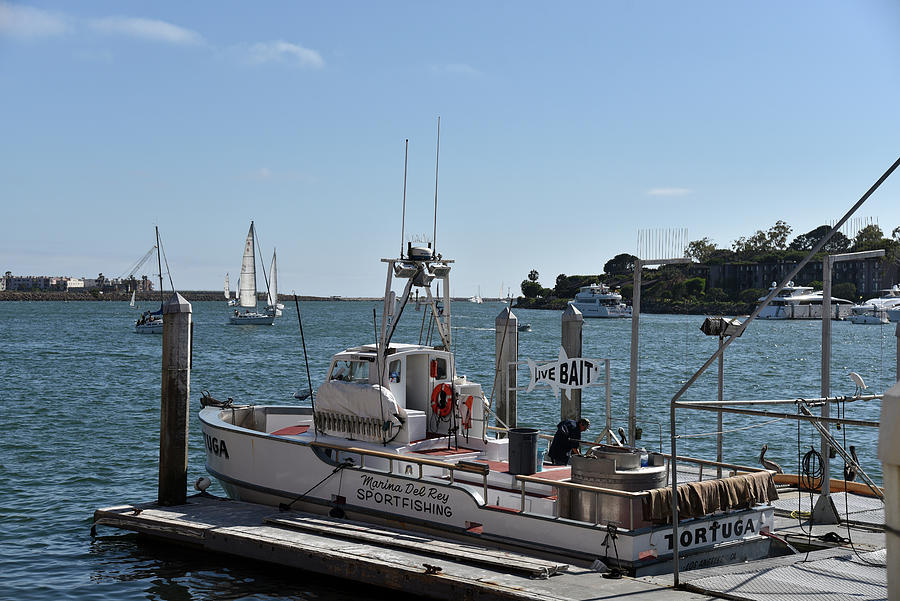 Sportfishing boat at the dock stock photo Photograph by Mark Stout
