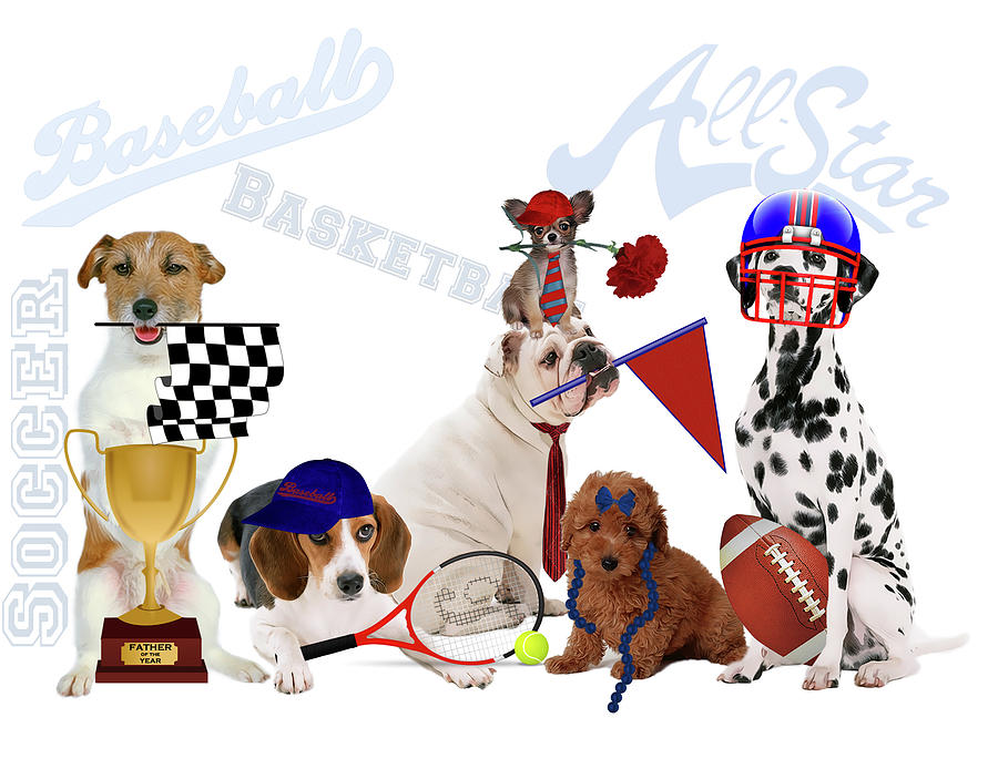Sports Dogs Digital Art by Doreen Erhardt