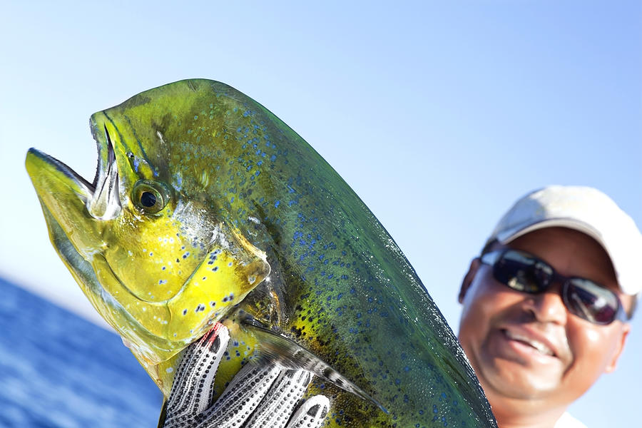 Sports: Dorado A successful day of fishing Photograph by JodiJacobson