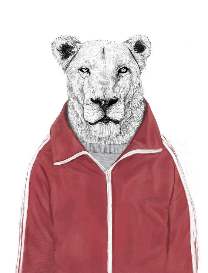 Animal Drawing - Sporty lion by Balazs Solti