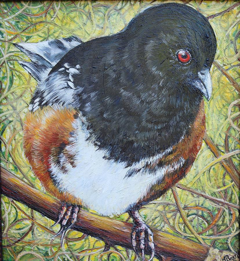 Spot The Towhee Painting by Margot Brassil