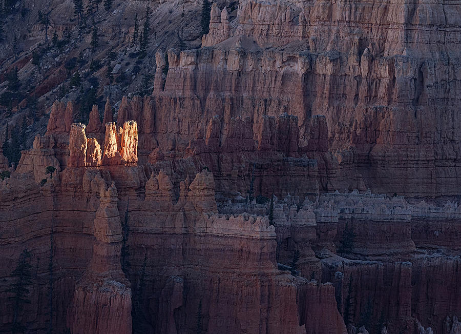 Spotlight on Bryce Canyon Photograph by Jean Noren