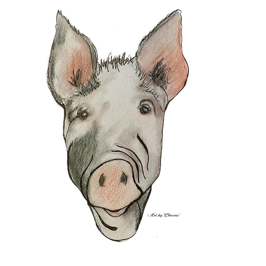 Spotted Hog Drawing by Charme Curtin