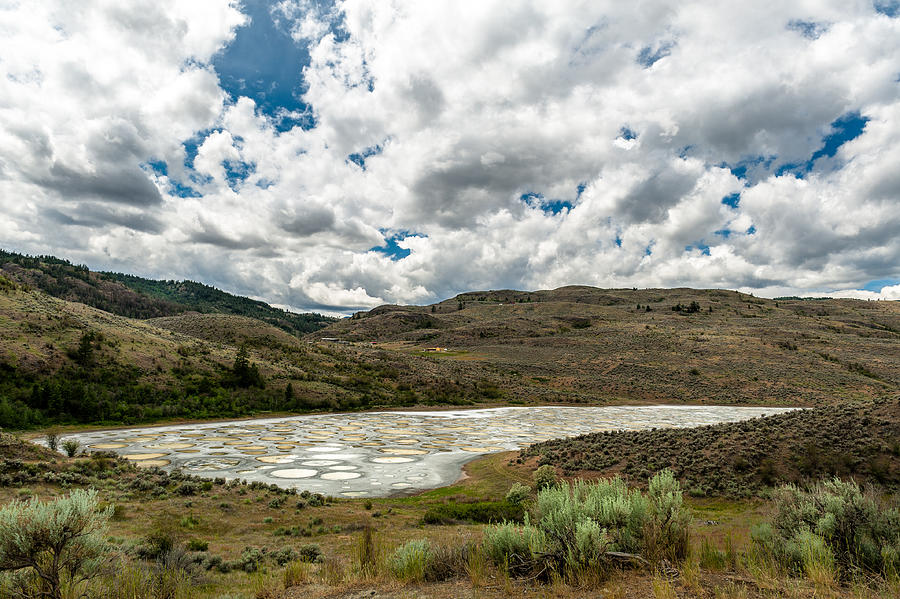 Spotted Lake in Okanagan valley Photograph by Pierdelune