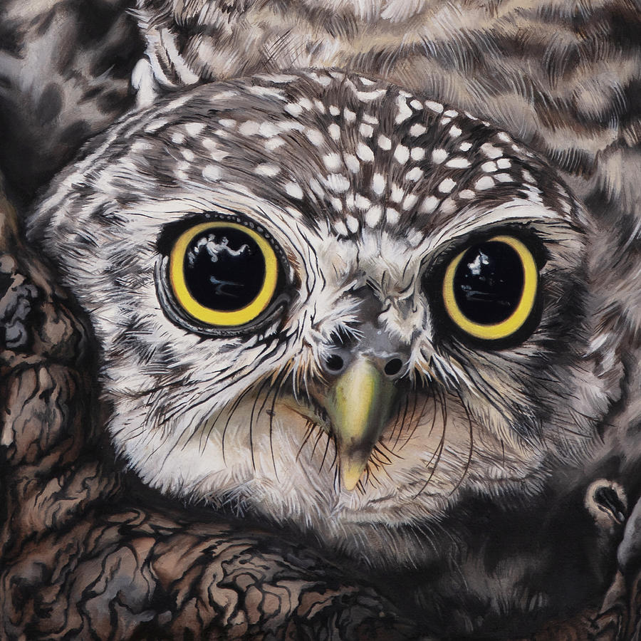 Spotted Owlet Painting by Nikita Coulombe