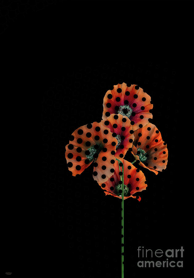 Spotted poppy Digital Art by Mehran Akhzari