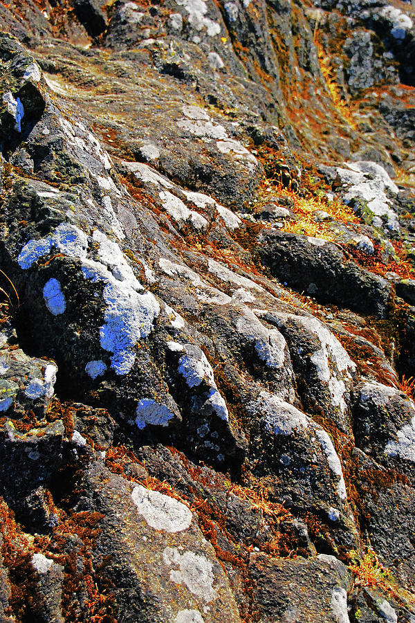 Rock Formation Photograph - Spotted Rocks by Simone Hester
