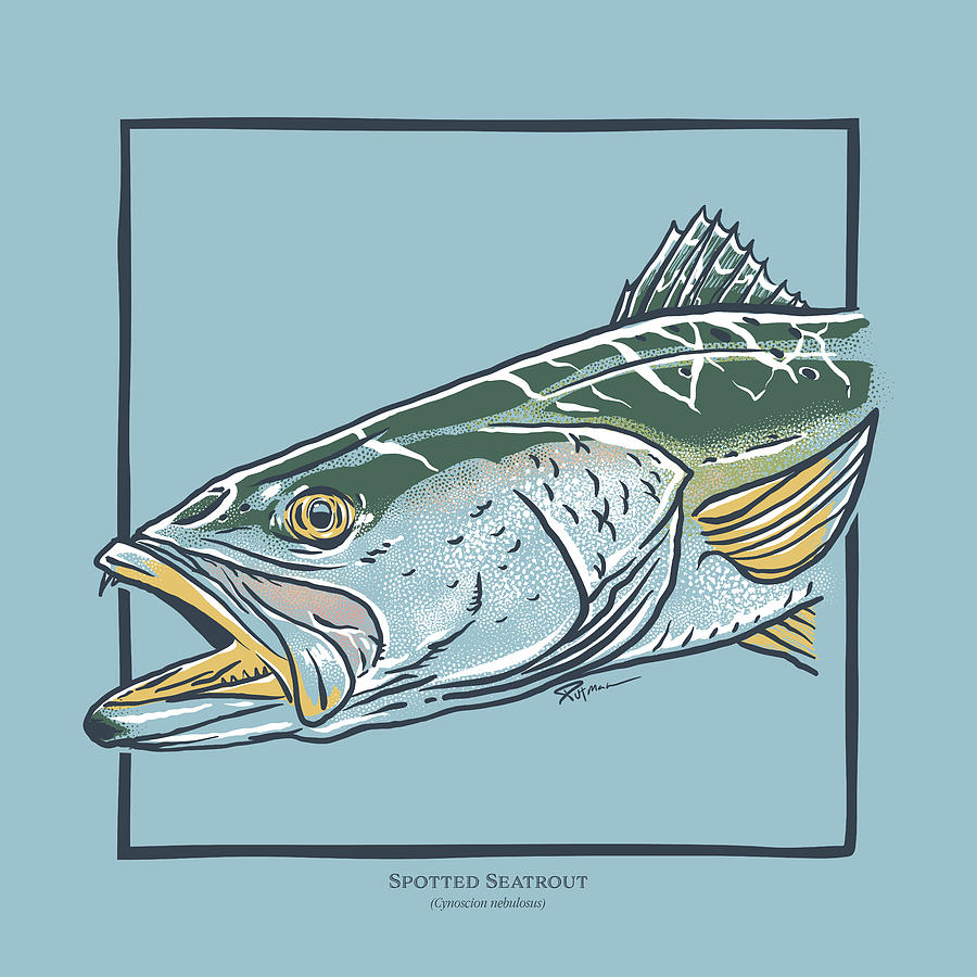 Spotted Seatrout Digital Art by Kevin Putman