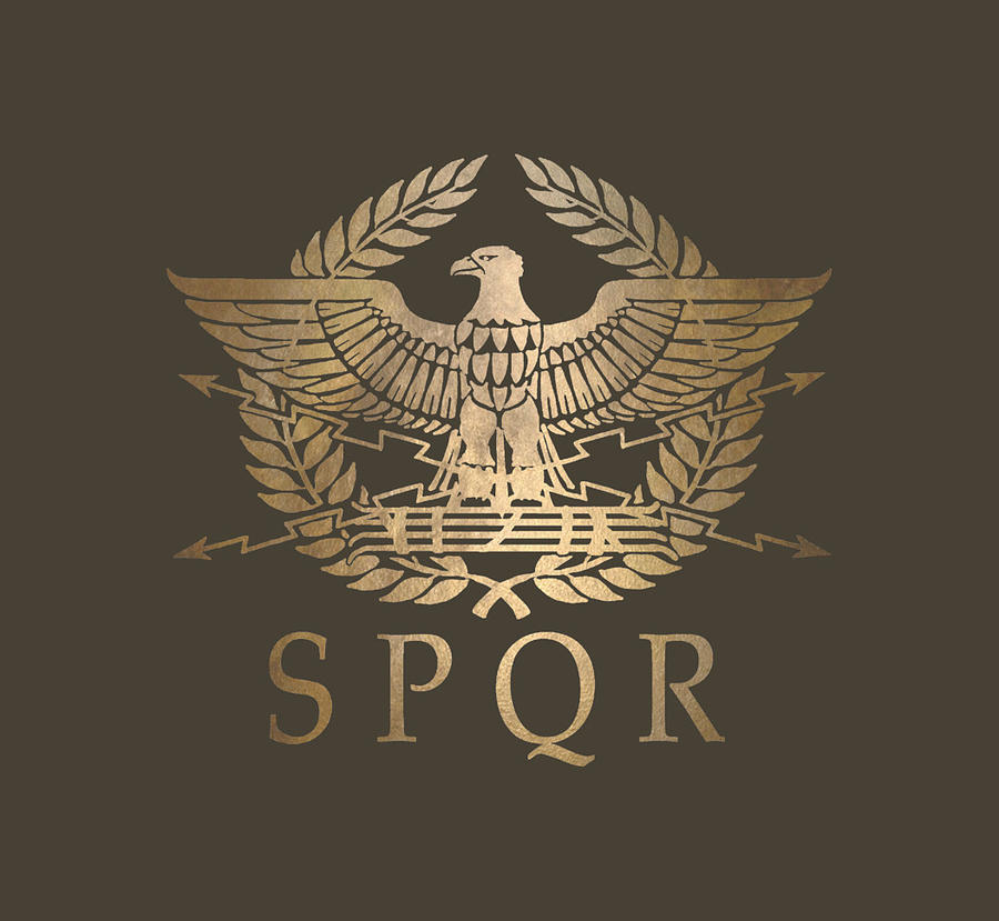 SPQR Roman Empire Standard Shield Classic Painting by Tim Turner | Pixels