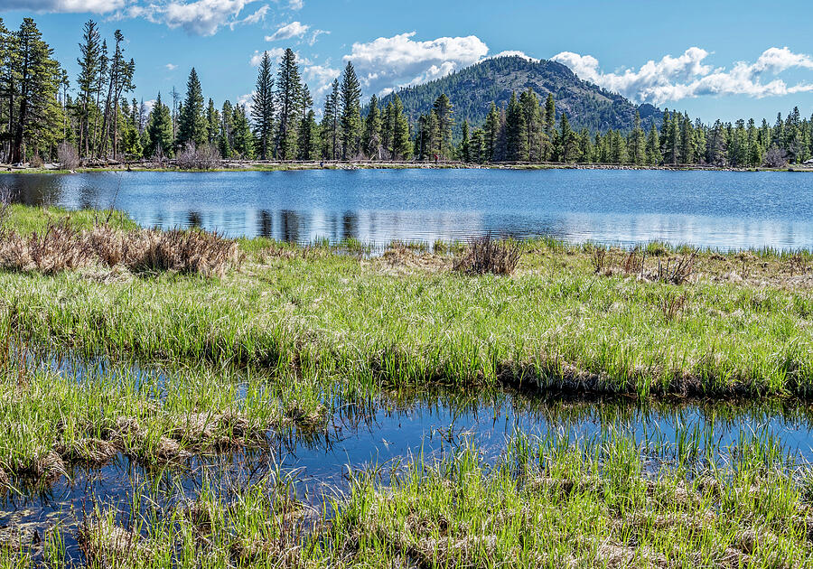 Sprague Lake 2 Photograph by Frank Barnitz Fine Art America